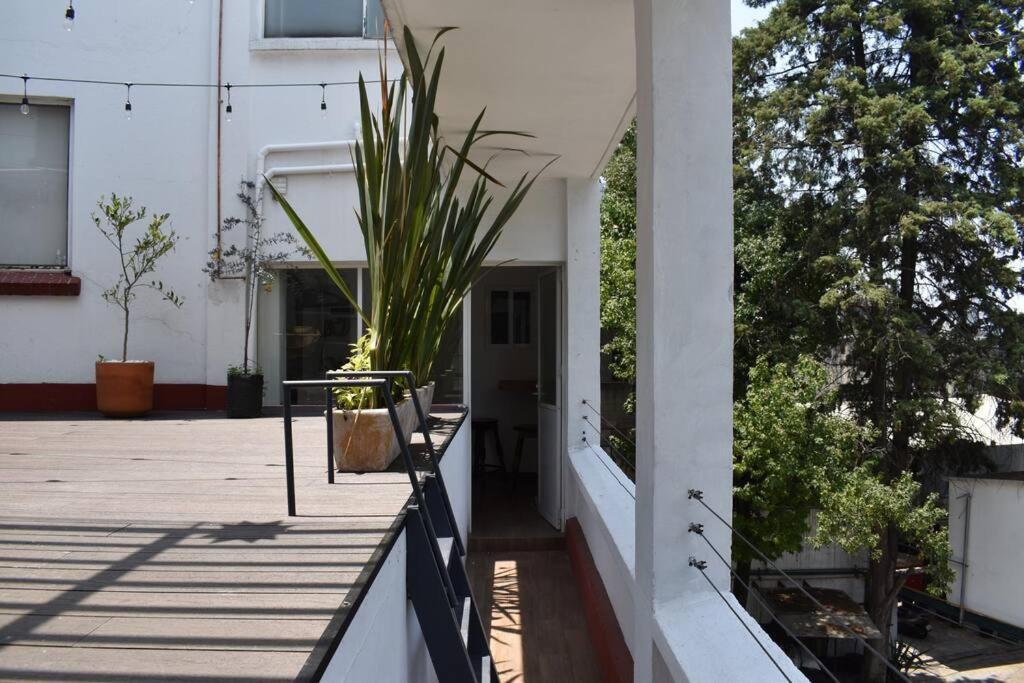& Private Terrace Sunlight * Mexico City